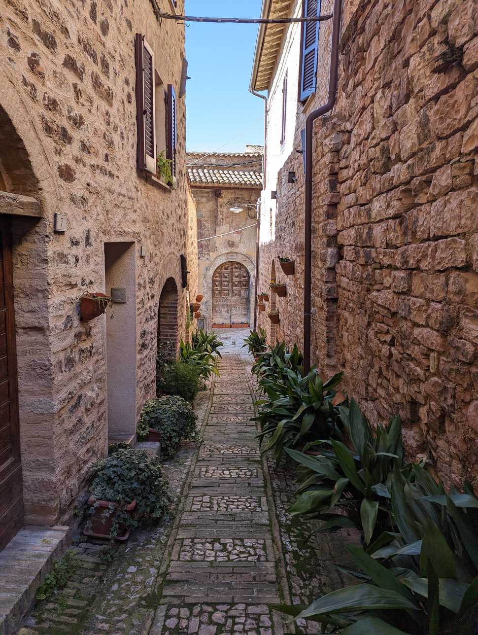 Spello plantas Spello plantas